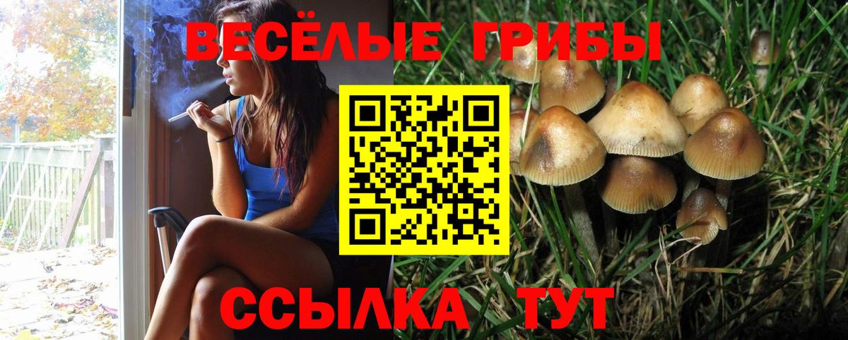 наркотики  Галлюциногенные грибы GOLDEN TEACHER  Галлюциногенные грибы GOLDEN TEACHER  Вход с VPN  Химки 