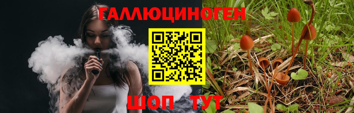 Галлюциногенные грибы GOLDEN TEACHER Химки
